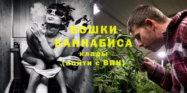 каннабис Новозыбков
