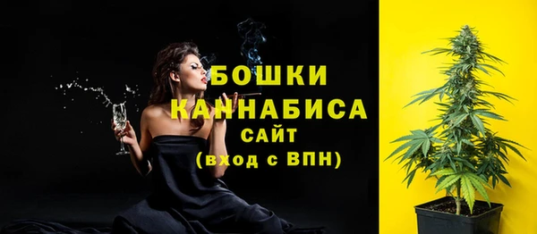 каннабис Новозыбков