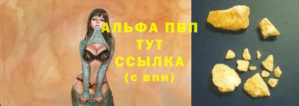 каннабис Новозыбков