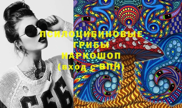 каннабис Новозыбков