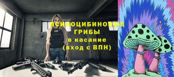 каннабис Новозыбков