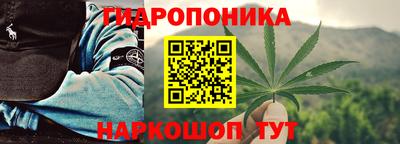jwh Гусев