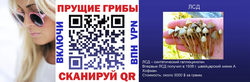 мориарти какой сайт  Кизилюрт  Псилоцибиновые грибы Magic Shrooms 