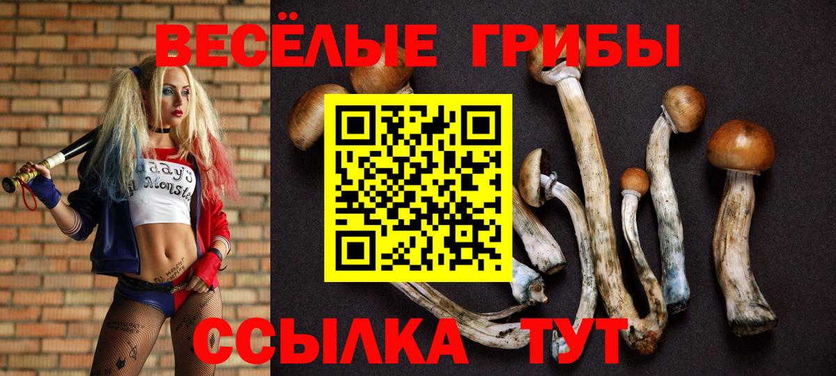 Кизилюрт  Псилоцибиновые грибы Psilocybe  Вход с VPN 
